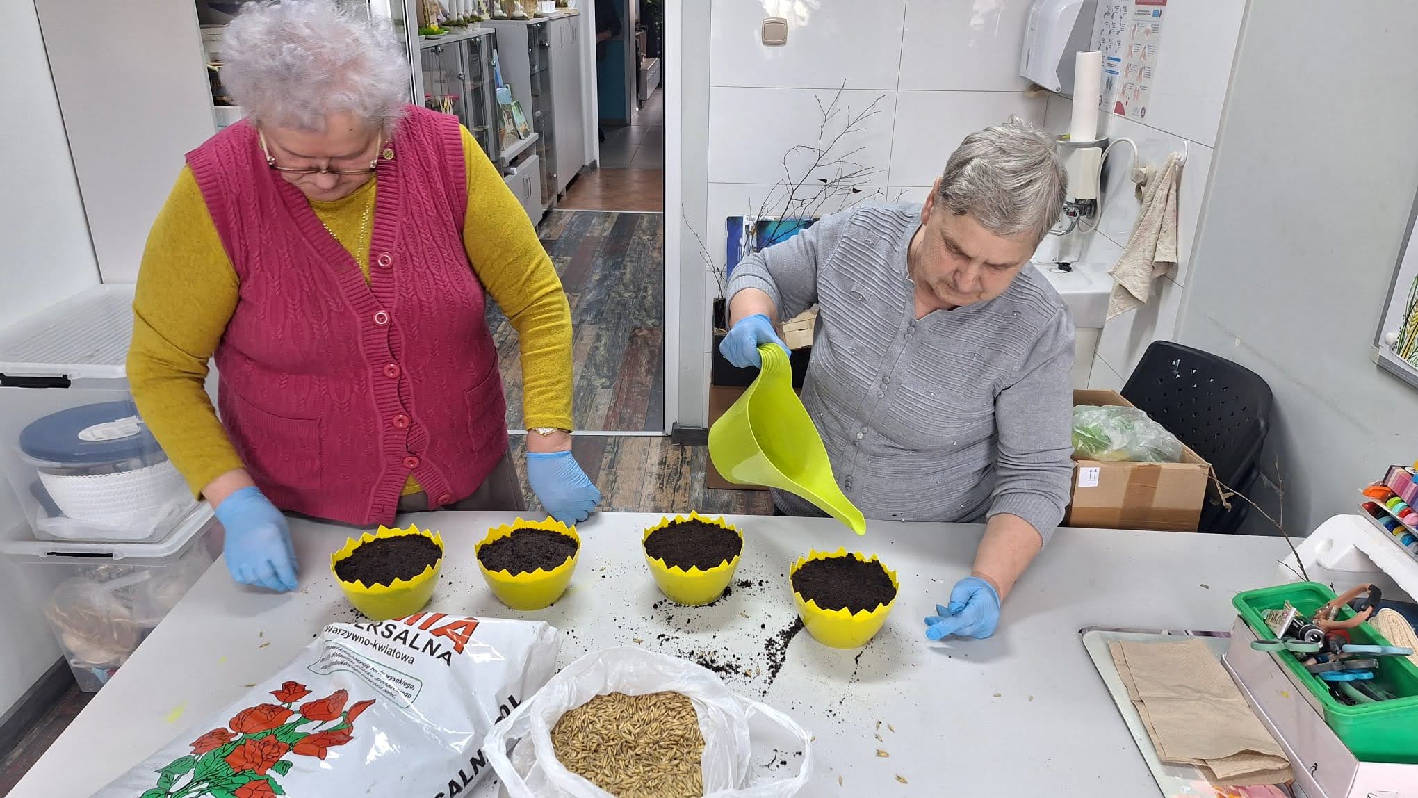 6) Zdjęcie przedstawia seniorki siejące owies w ozdobnych doniczkach.