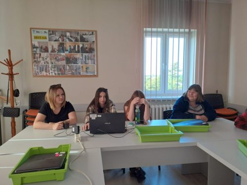 Aktywizacja zawodowa 11