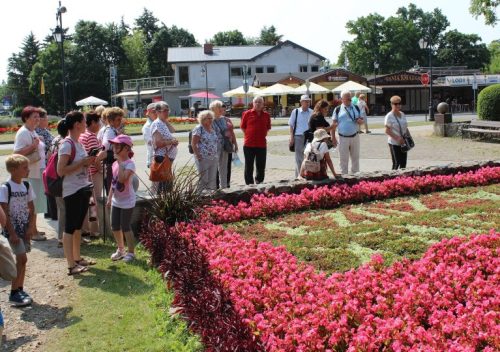 Na fotografii grupa osób biorących udział w wycieczce do Ciechocinka. Przed nimi fragment dywanu kwiatowego.
