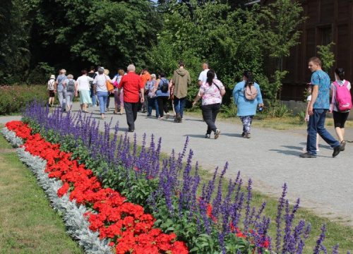 Zdjęcie przedstawia grupę osób w różnym wieku spacerujących po parku zdrojowym. Po lewej stronie piękny klomb kwiatowy.